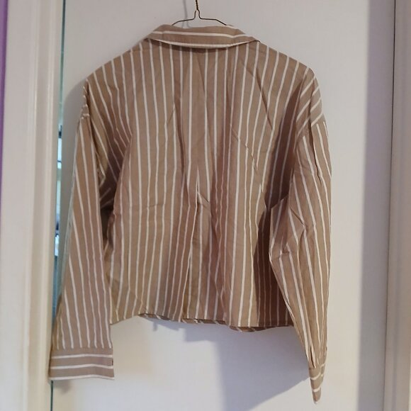 Everlane Women's Cropped Button Down Shirt Brown With White  Stripes - Picture 7 of 9
